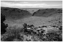 Rabbitbrush in bloom and breach of Bear Den Butte crater. Craters of the Moon National Monument and Preserve, Idaho, USA ( black and white)