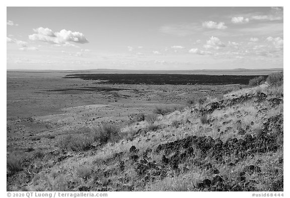 Grassy lava flow from Bear Den Butte. Craters of the Moon National Monument and Preserve, Idaho, USA (black and white)