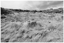 Stone from former cabin in depression surrounded by lava walls. Craters of the Moon National Monument and Preserve, Idaho, USA ( black and white)