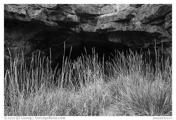 Grasses and Bear Trap Cave entrance. Craters of the Moon National Monument and Preserve, Idaho, USA (black and white)