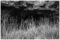 Grasses and Bear Trap Cave entrance. Craters of the Moon National Monument and Preserve, Idaho, USA ( black and white)