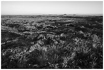 Wapi Flow at sunrise. Craters of the Moon National Monument and Preserve, Idaho, USA ( black and white)