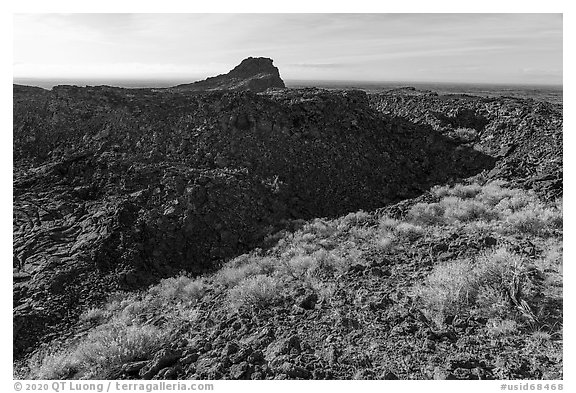 Rabbitbrush and plug on Pilar Butte shield volcano. Craters of the Moon National Monument and Preserve, Idaho, USA (black and white)