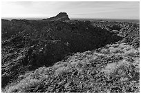 Rabbitbrush and plug on Pilar Butte shield volcano. Craters of the Moon National Monument and Preserve, Idaho, USA ( black and white)