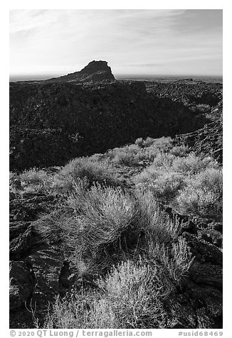 Rabbitbrush, crater, and plug, Pilar Butte. Craters of the Moon National Monument and Preserve, Idaho, USA (black and white)