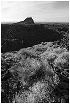 Rabbitbrush, crater, and plug, Pilar Butte. Craters of the Moon National Monument and Preserve, Idaho, USA ( black and white)