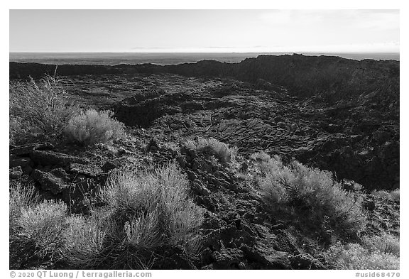 Rabbitbrush and former lava lake in crater, Pilar Butte. Craters of the Moon National Monument and Preserve, Idaho, USA (black and white)