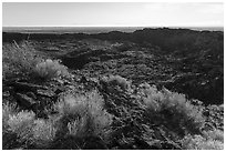 Rabbitbrush and former lava lake in crater, Pilar Butte. Craters of the Moon National Monument and Preserve, Idaho, USA ( black and white)