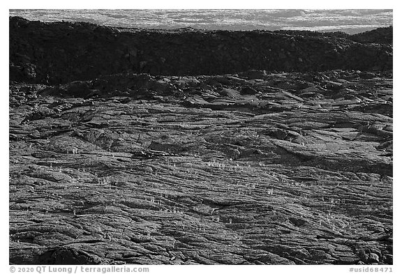 Former lava lake in crater, Pilar Butte. Craters of the Moon National Monument and Preserve, Idaho, USA (black and white)