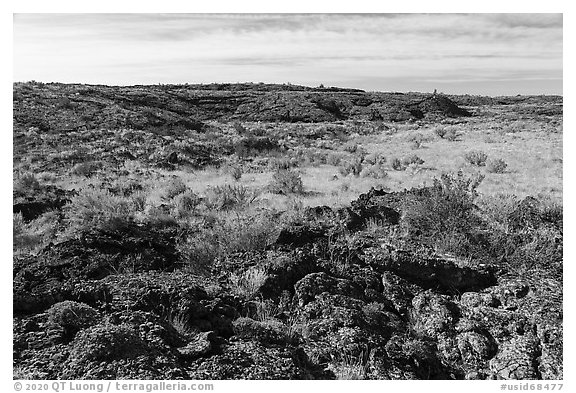 Wapi Park. Craters of the Moon National Monument and Preserve, Idaho, USA (black and white)