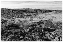 Wapi Park. Craters of the Moon National Monument and Preserve, Idaho, USA ( black and white)