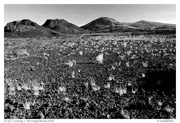Scoria field with grasses and cinder cones. Craters of the Moon National Monument and Preserve, Idaho, USA (black and white)