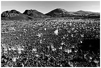 Lava field, Craters of the Moon National Monument. Idaho, USA ( black and white)