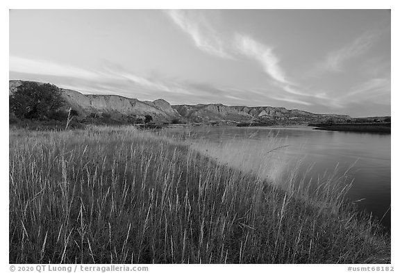 Grassy riverbank at dawn, Wood Bottom. Upper Missouri River Breaks National Monument, Montana, USA (black and white)