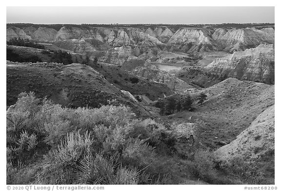 Shurbs and badlands. Upper Missouri River Breaks National Monument, Montana, USA (black and white)