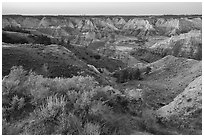 Shurbs and badlands. Upper Missouri River Breaks National Monument, Montana, USA ( black and white)