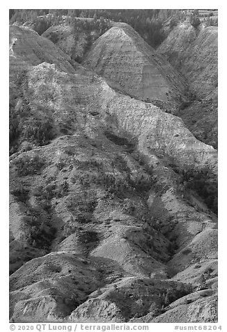 Hills and badlands. Upper Missouri River Breaks National Monument, Montana, USA (black and white)