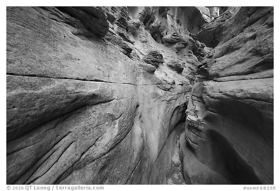 Slot canyon, Neat Coulee. Upper Missouri River Breaks National Monument, Montana, USA (black and white)