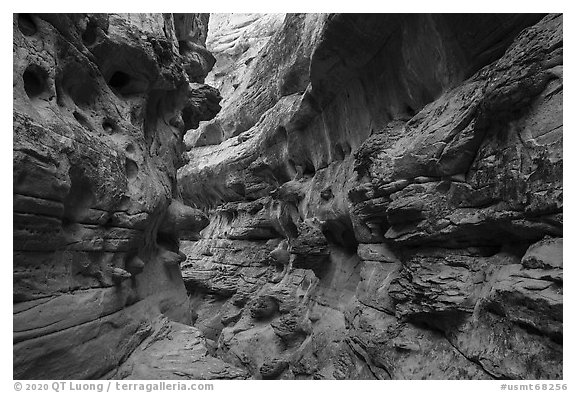 Sandstone slot canyon. Upper Missouri River Breaks National Monument, Montana, USA (black and white)