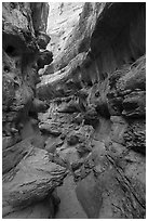 Twisted passages in Neat Coulee slot canyon. Upper Missouri River Breaks National Monument, Montana, USA ( black and white)