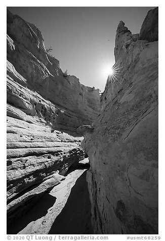 Neat Coulee slot canyon with sun star. Upper Missouri River Breaks National Monument, Montana, USA (black and white)
