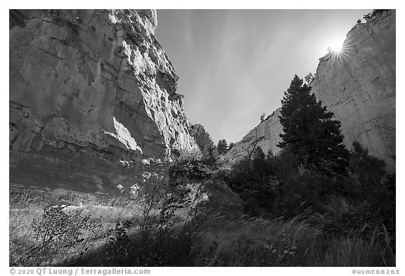 Canyon, Neat Coulee. Upper Missouri River Breaks National Monument, Montana, USA (black and white)