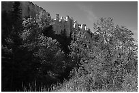 Trees in autumn foliage below sandstone pinnacles. Upper Missouri River Breaks National Monument, Montana, USA ( black and white)