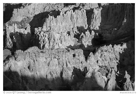Sandstone spires. Upper Missouri River Breaks National Monument, Montana, USA (black and white)