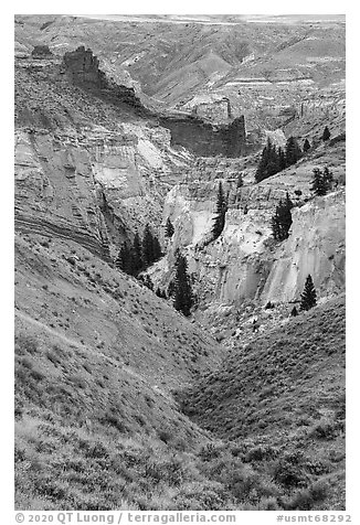 Ridges and canyon walls, Valley of the Walls. Upper Missouri River Breaks National Monument, Montana, USA (black and white)