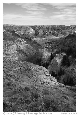Valley of the Walls canyon. Upper Missouri River Breaks National Monument, Montana, USA (black and white)