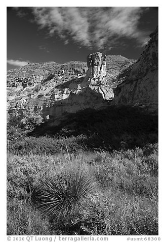 Sotol and sandstone pinnacle. Upper Missouri River Breaks National Monument, Montana, USA (black and white)