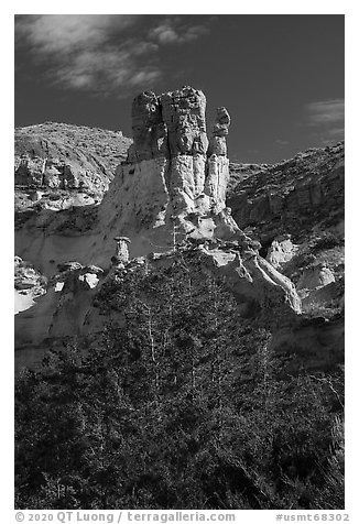 Tree and rock pinnacle. Upper Missouri River Breaks National Monument, Montana, USA (black and white)
