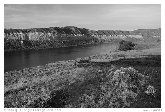 Grasses and cliffs, Slaughter River Camp. Upper Missouri River Breaks National Monument, Montana, USA (black and white)