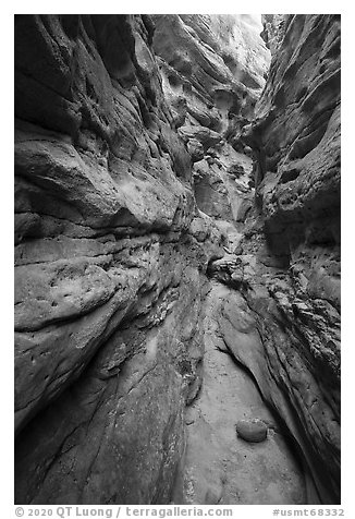 Narrow Neat Coulee slot canyon. Upper Missouri River Breaks National Monument, Montana, USA (black and white)