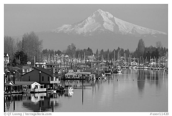 Houseboats on North Portland Harbor and snow-covered Mt Hood. Portland, Oregon, USA