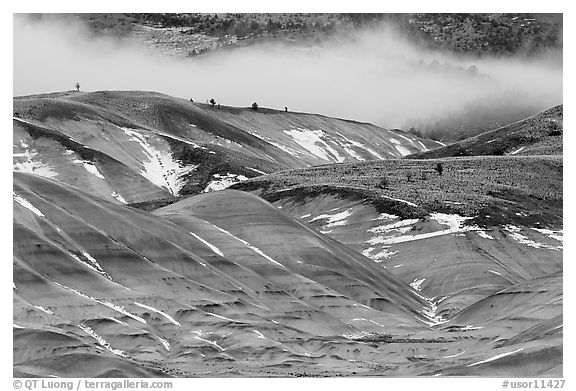 Painted hills with snow and fog. John Day Fossils Bed National Monument, Oregon, USA