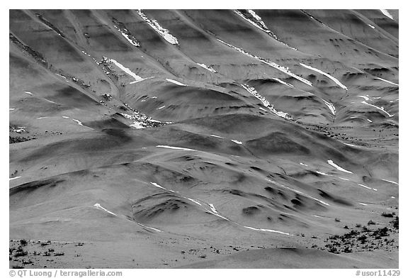 Colorful strata and snow on painted hills. John Day Fossils Bed National Monument, Oregon, USA (black and white)