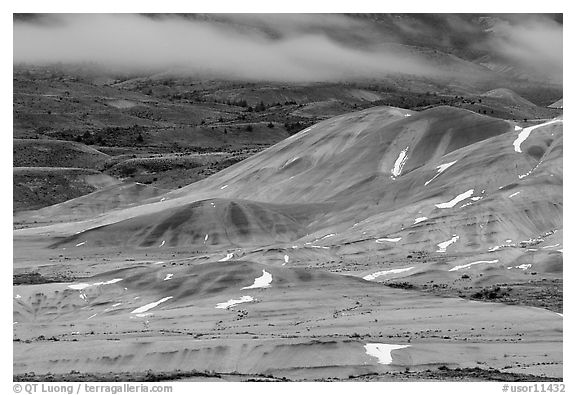 Painted hills and fog, winter dusk. John Day Fossils Bed National Monument, Oregon, USA (black and white)