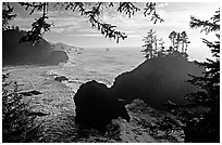 Coastline and trees, late afternoon, Samuel Boardman State Park. Oregon, USA (black and white)