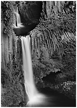 Basalt columns and Toketee Falls. Oregon, USA ( black and white)