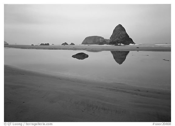 Triangular rock reflected in beach tidepool. USA (black and white)