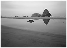 Triangular rock reflected in beach tidepool. Oregon, USA (black and white)