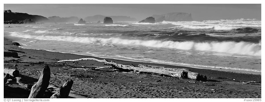 Oregon seascape with beach and surf. Bandon, Oregon, USA (black and white)