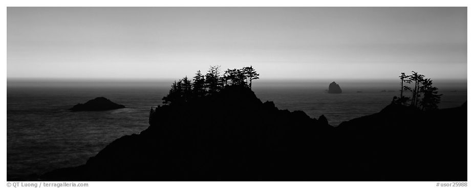Sunset seascape beyond ridge of trees. Oregon, USA (black and white)