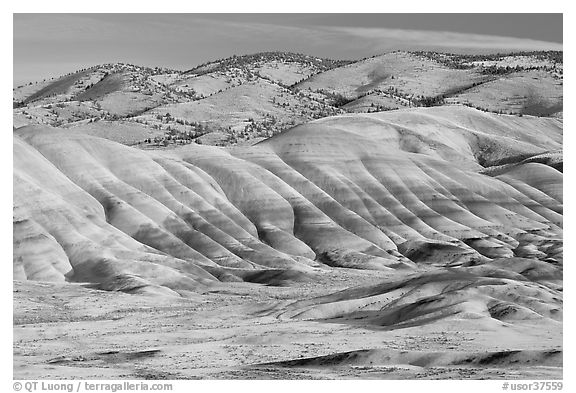 Painted hills. John Day Fossils Bed National Monument, Oregon, USA