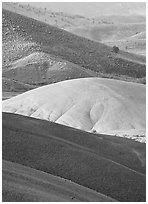 Weathered ash hummocks and sagebrush-covered slopes. John Day Fossils Bed National Monument, Oregon, USA ( black and white)