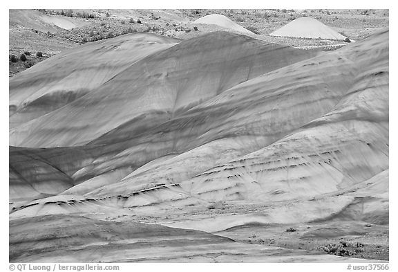 Weathered volcanic ash hills. John Day Fossils Bed National Monument, Oregon, USA