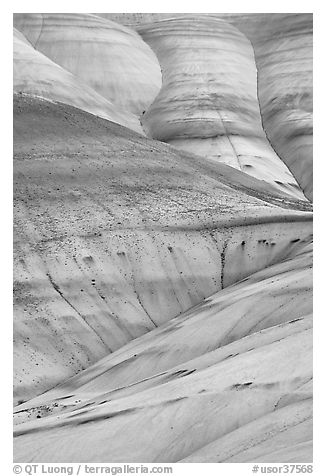 Eroded volcanic ash hummocks. John Day Fossils Bed National Monument, Oregon, USA (black and white)