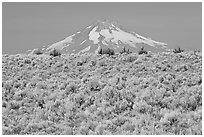 Mt Hood above sagebrush-covered plateau. Oregon, USA (black and white)