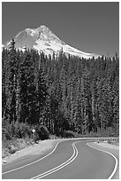 Road and Mt Hood. Oregon, USA (black and white)